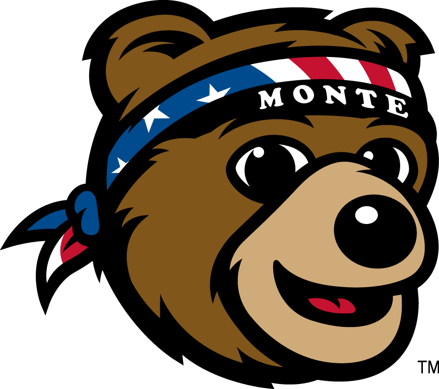 Montana Grizzlies 2010-Pres Mascot Logo DIY iron on transfer (heat transfer)
